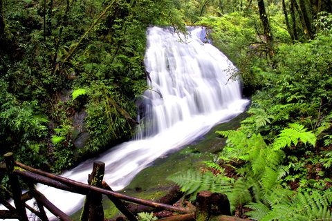 Private Doi Inthanon National Park Tour