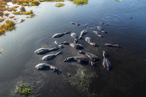 iSimangaliso Wetland Park