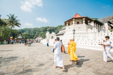 Premium Sri Lanka & Maldives