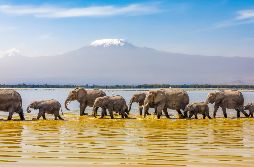 East Africa. Leave the Ordinary Behind