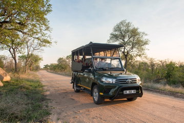 Kruger National Park Afternoon Game Drive