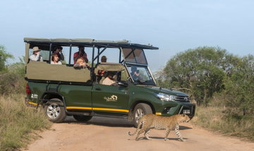 Private Kruger National Park Afternoon Game Drive