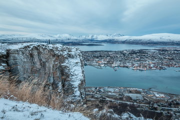 image gallery