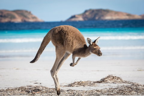 Guided Group Journeys for Solo Travellers holidays