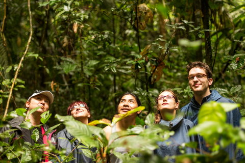 South & Central America Walking Holidays holidays