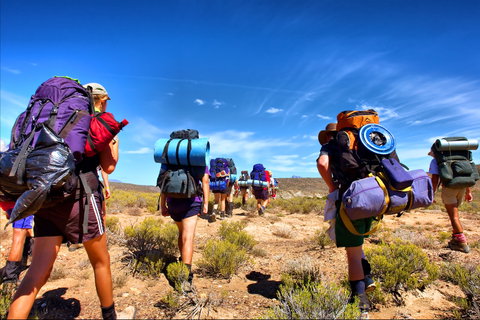 Active Holidays holidays