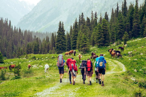 Central Asia Group Touring holidays