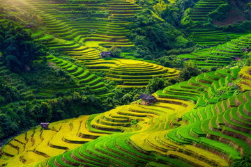 Sapa Extension