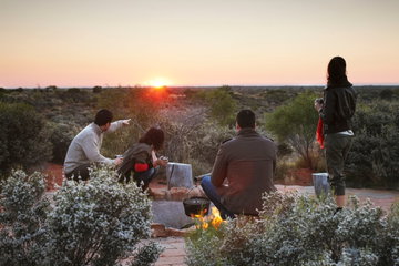 Desert Awakenings