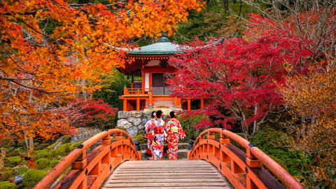 The Shogun's Path, Japan