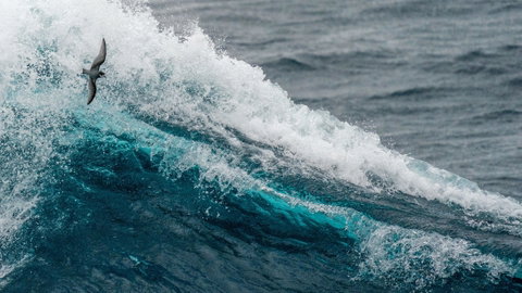 Drake Passage