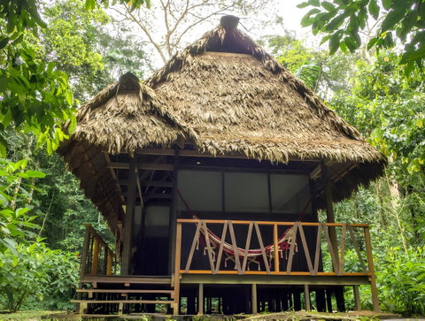 Madidi Jungle Ecolodge