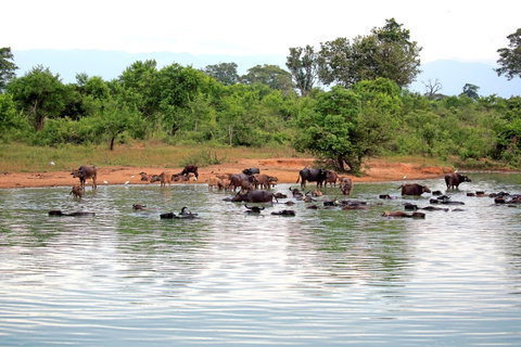 Udawalawe National Park