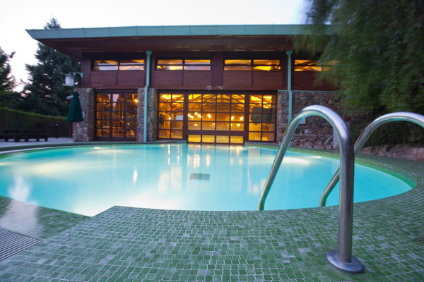 Disney Sequoia Lodge