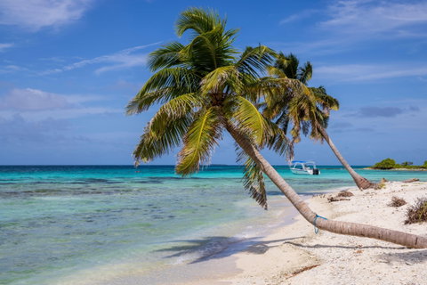 Placencia