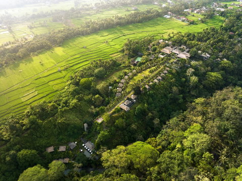 Maya Ubud