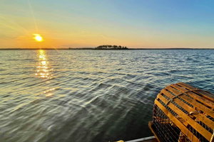 Shediac Lobster Tales Tour