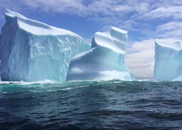 Twillingate Iceberg Boat Tour