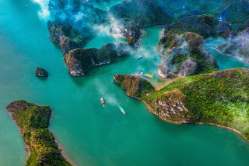 image gallery