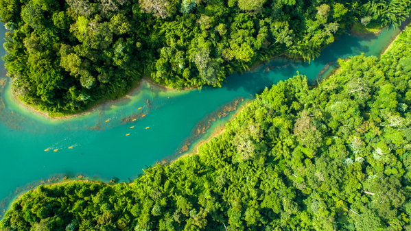 Elephant Hills Tented Camp - 3 Night Jungle & Lake Camp Safari