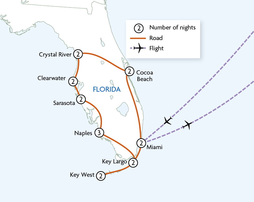 Wild Florida