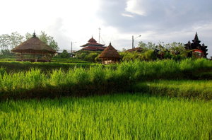 Private Coffee & Culture in Bali
