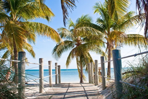 Honeymoons holidays