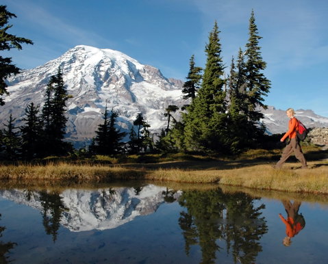 Mount Rainier National Park Tour
