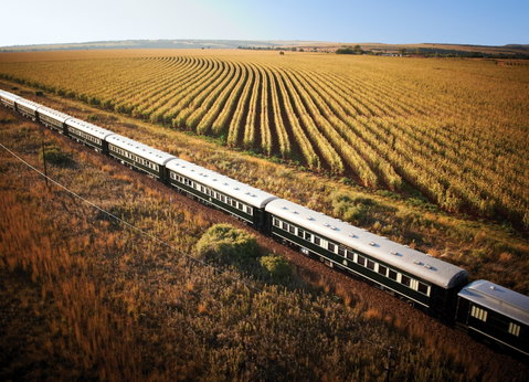 Pretoria to Victoria Falls by Rovos Rail