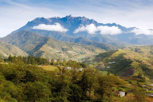 Kinabalu National Park Area
