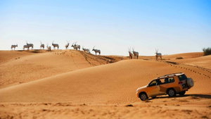 Beyond Dubai