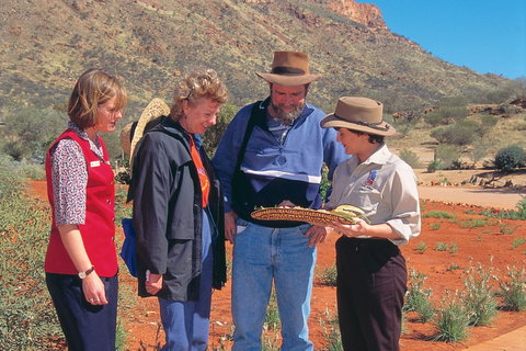 Small Group Journeys