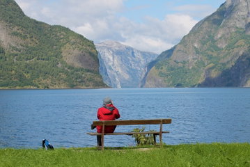 Unforgettable Fjordlands from Southampton