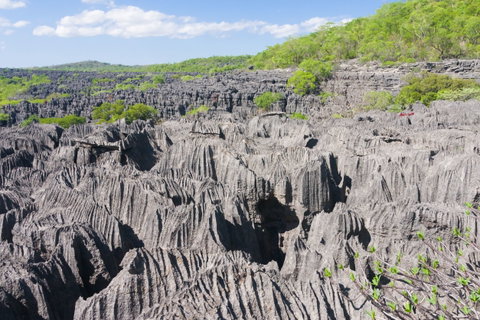 Ankarana Reserve