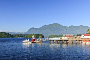 Vancouver Island's Bears & Whales - CanaDream