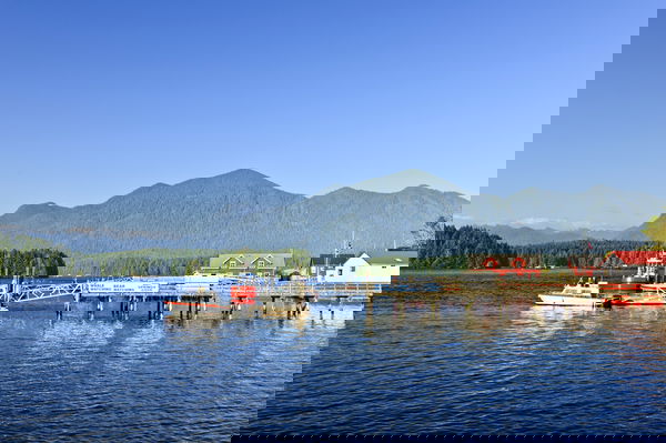 Vancouver Island's Bears & Whales, Canada