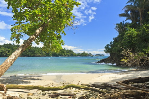 Manuel Antonio National Park & Uvita