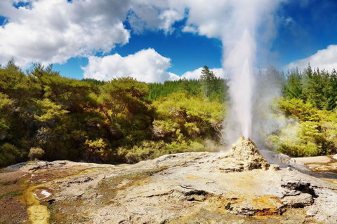 Rotorua