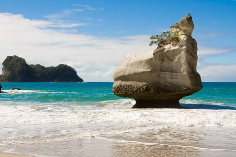 Whitianga, Hahei & Pauanui