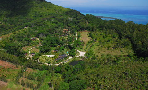 Chamarel Mountains