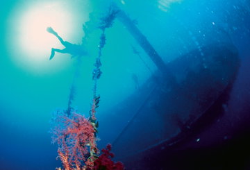 Aqaba Snorkelling Tour with Barbecue Lunch
