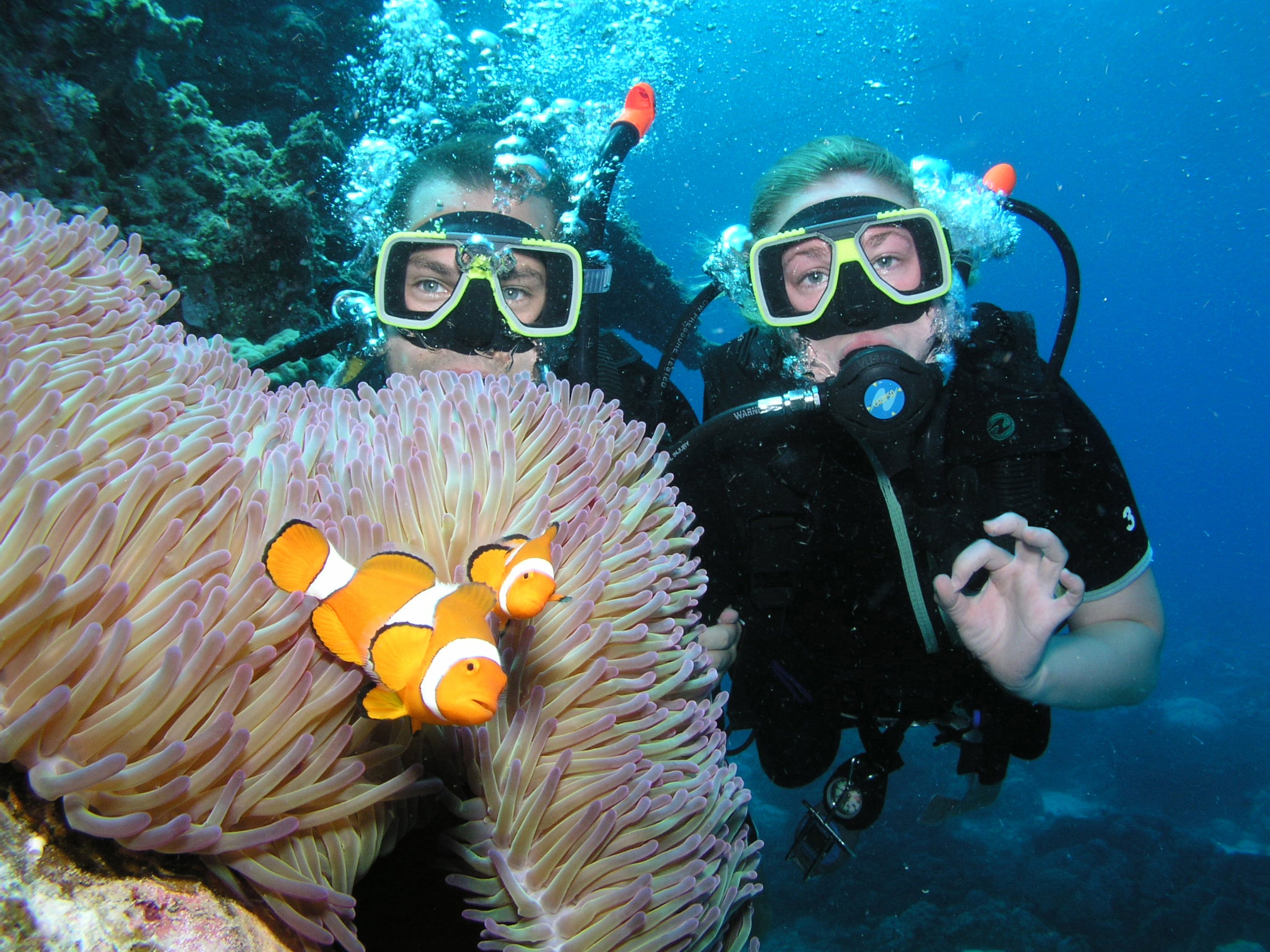 Tour image