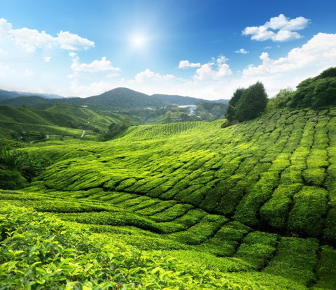 Private Touring holidays