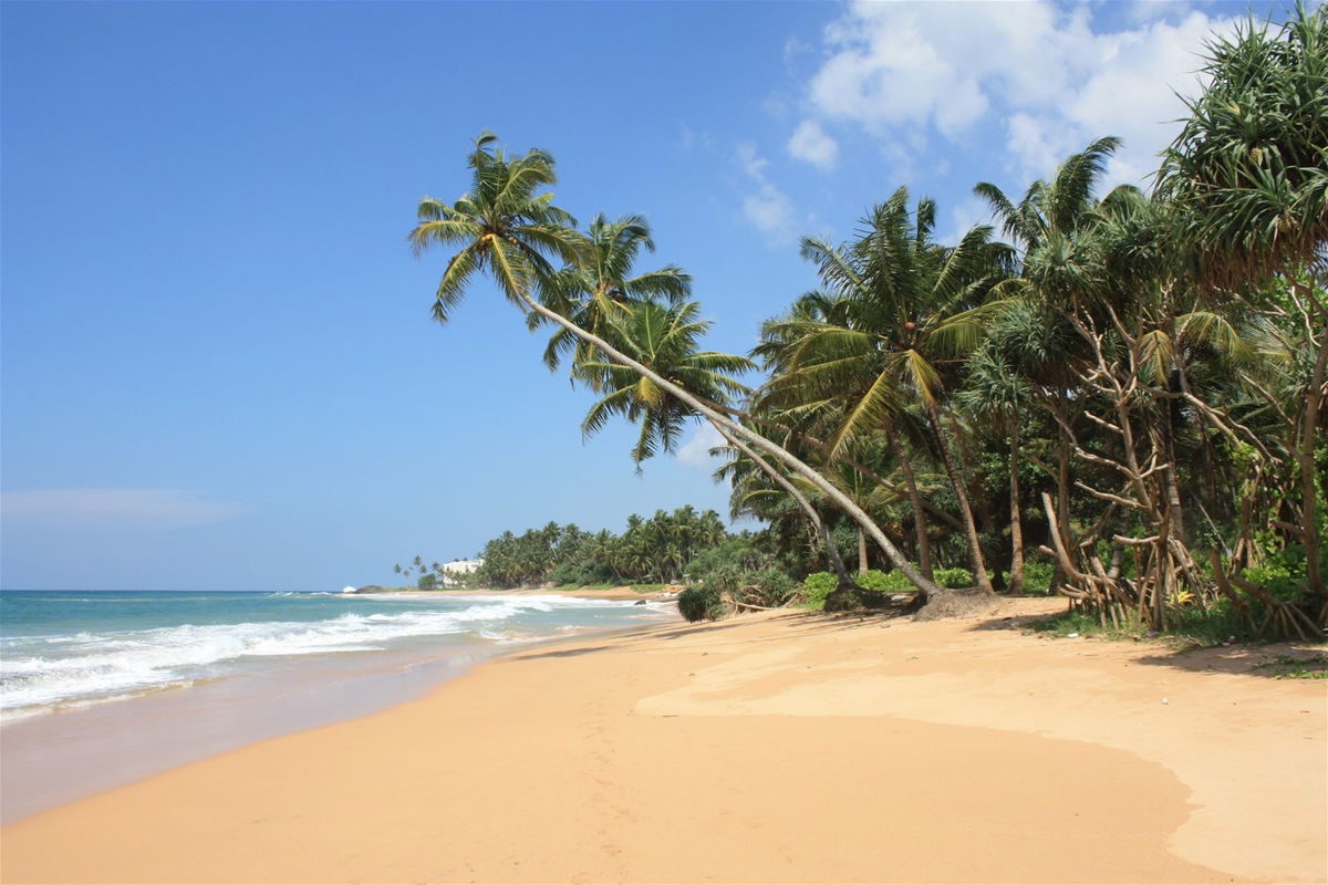 trailfinders sri lanka tours