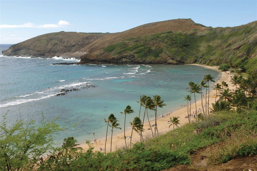 A curved shaped beach lined by palm trees in Hawaii