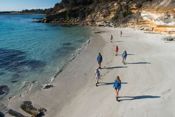 Tasmania's Maria Island Walk (Portered)