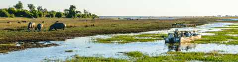 Premium Southern Africa in Depth