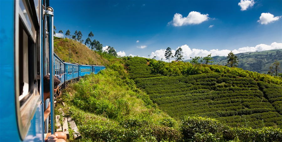 Train from Nuwara Eliya, Kandy among tea plantations in the highlands, Sri Lanka