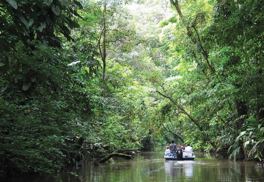 Travellers take a boat trip through the rainforest at Tortuguero National Park, Costa Rica