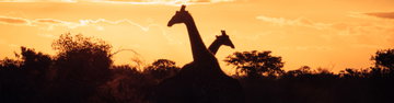 Experience Southern Africa